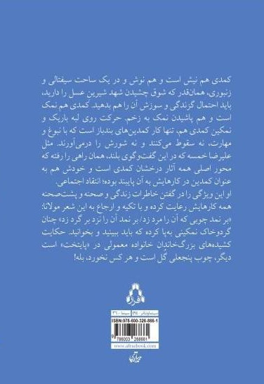 مأموریت آقای شادی